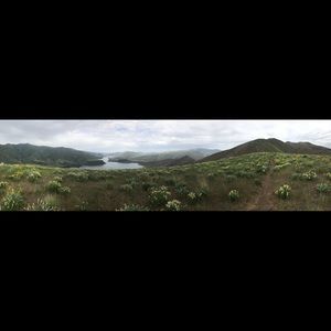 Meet your Posher, Brinley